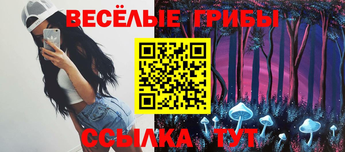 Галлюциногенные грибы Magic Shrooms Светлоград