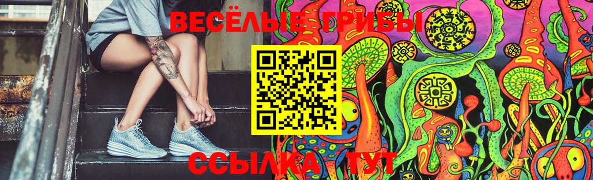 Светлоград  Галлюциногенные грибы Cubensis  Вход с VPN  Псилоцибиновые грибы Psilocybine cubensis 