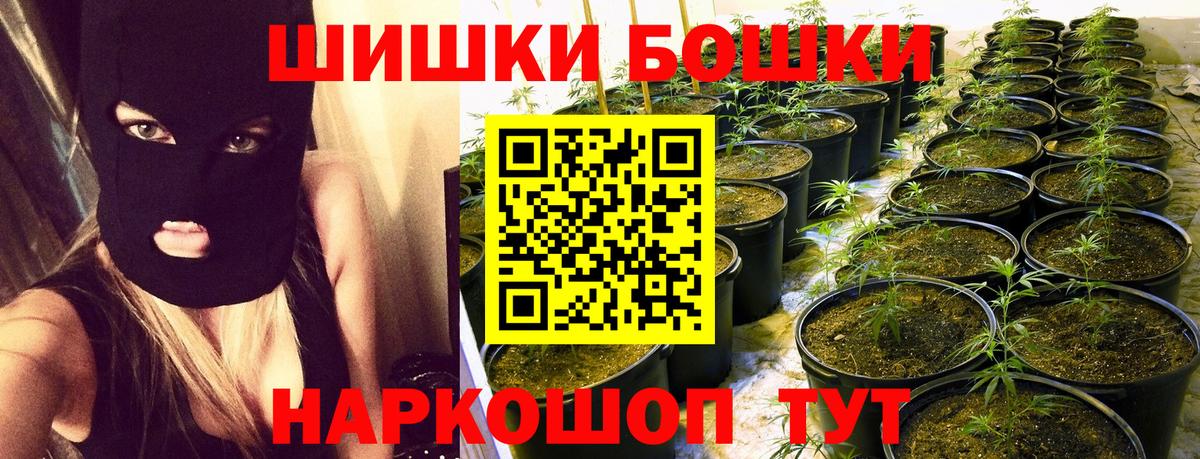 Каннабис план  Конопля Bruce Banner  Светлоград  Шишки марихуана гибрид  Бошки марихуана марихуана  Вход с VPN 